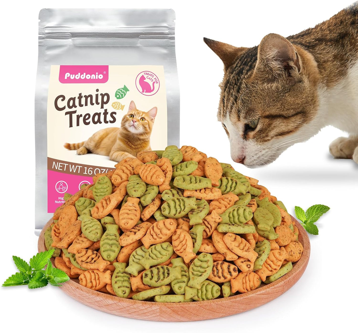 Catnip-Cat-Treats,-Chicken-&-Salmon-Flavor-Crunchy-Cat-Biscuits,-Fish-Shaped-Training-Snacks-for-352