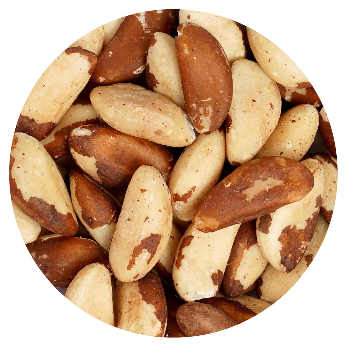 Raw-Brazil-Nuts,-1-Pound-Bag,-No-Shell,-Whole,-Hampton-Distribution-------411