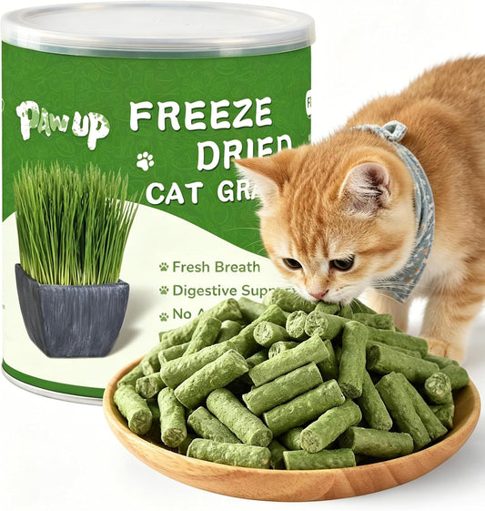 PAWUP-Freeze-Dried-Chicken-Cat-Treats,-3.8oz-|-Cat-Grass-&-Prebiotics-Added,-966