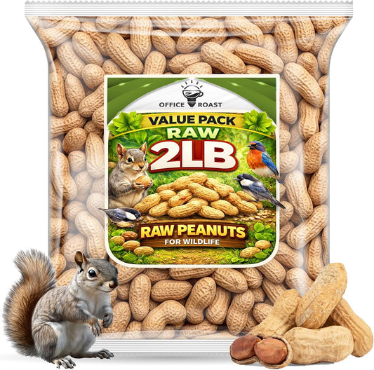 Office-Roast-Raw-Peanuts-in-Shell-2-lb-Bag-–-Unsalted,-Natural-Healthy-–-1707