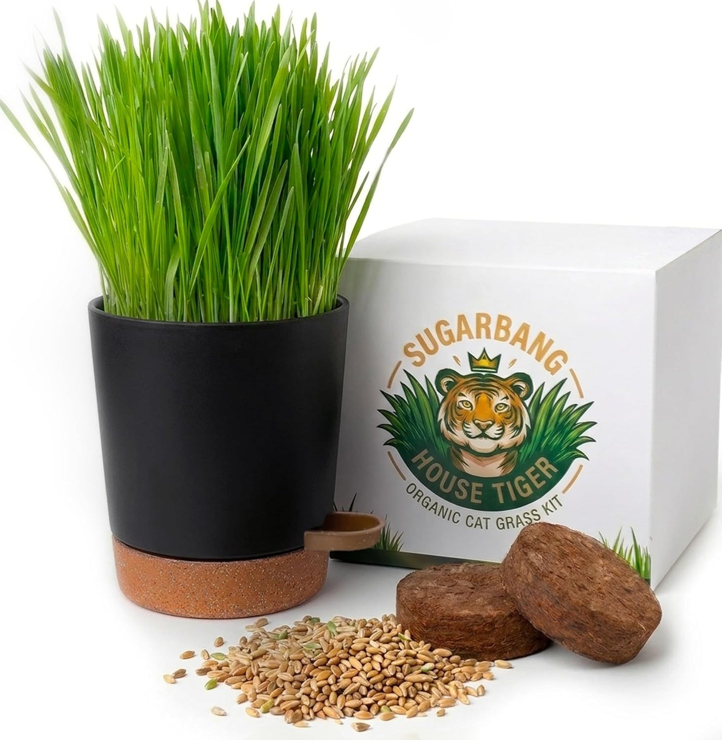 House-Tiger-Cat-Grass-Kit-|-Aids-Digestion,-Hairball-Control-&-Oral-Health-542