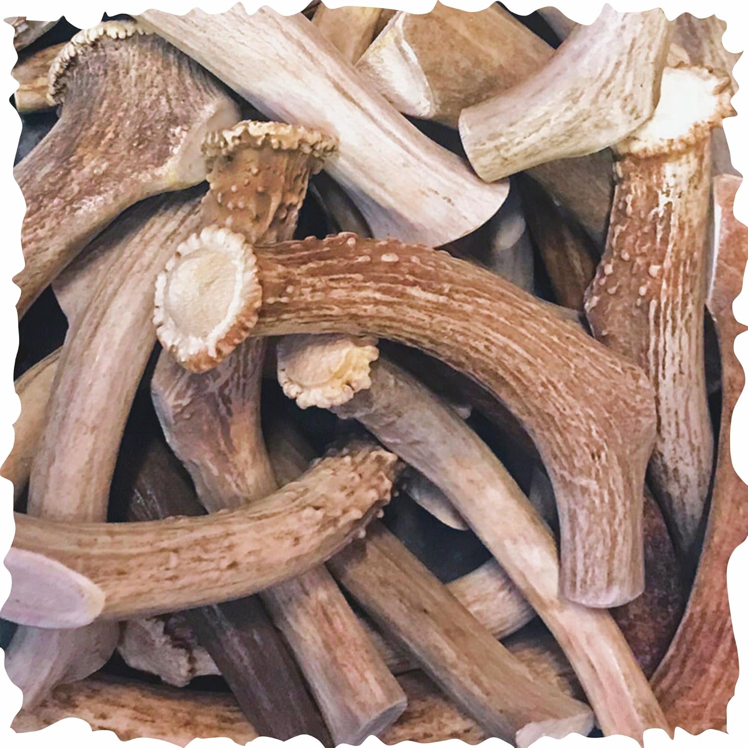 Bulk-Deer-Antlers-for-Dogs-(1-Pound-Pack)-3301