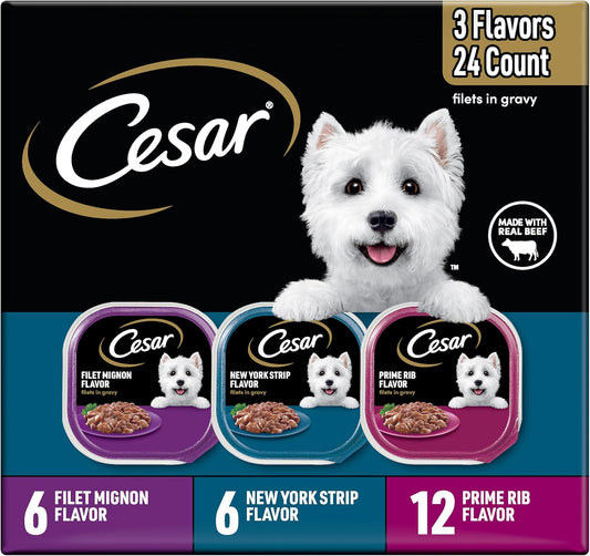 Cesar-Filets-in-Gravy-Adult-Wet-Dog-Food-Variety-Pack,-Filet-Mignon,-New-2576