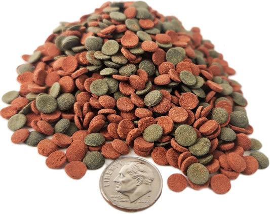 Aquatic-Foods-Inc.-8mm---1/3"-Brine-Shrimp/Red-258