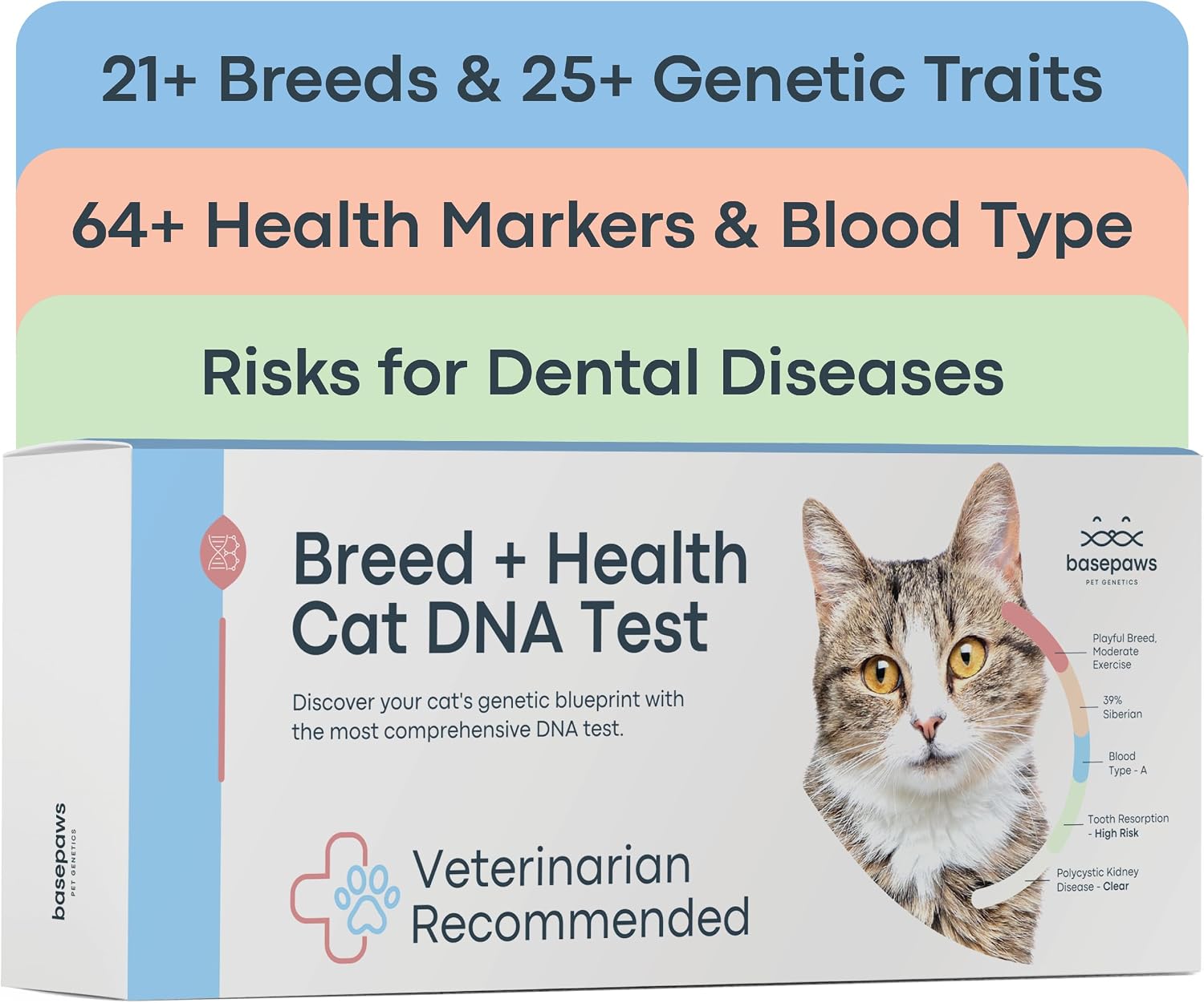 Basepaws-Cat-DNA-Test-Kit---Comprehensive-Breed,-Health-and-Dental-Analysis-Across-1392