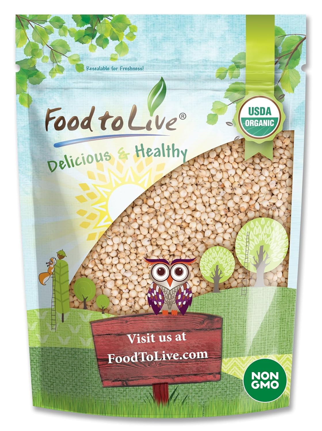 Food-to-Live-Sorgo-orgánico-italiano-de-grano-entero-1-481