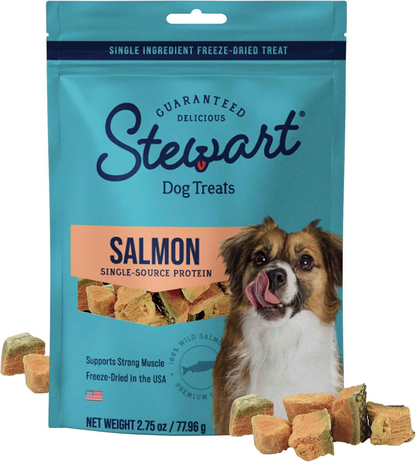 Stewart-1-Wild-Salmon-Dog-Treats,-2.75-oz-Pouch,-~55-Pieces,-Dried-1723