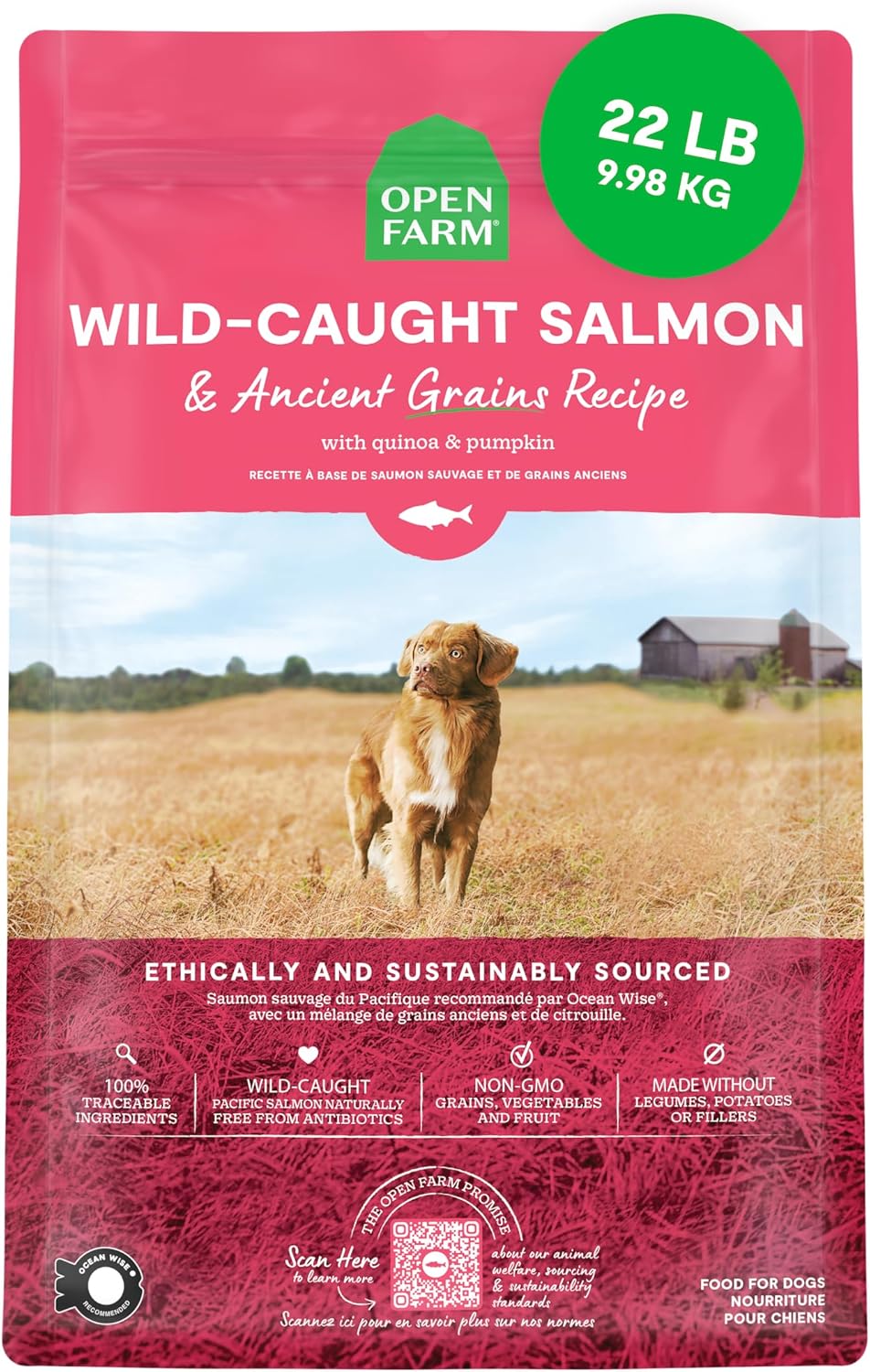 Open-Farm,-Ancient-Grains-Dry-Dog-Food,-Protein-Rich-&-Nutrient-Dense,-0.9-Animal-2386