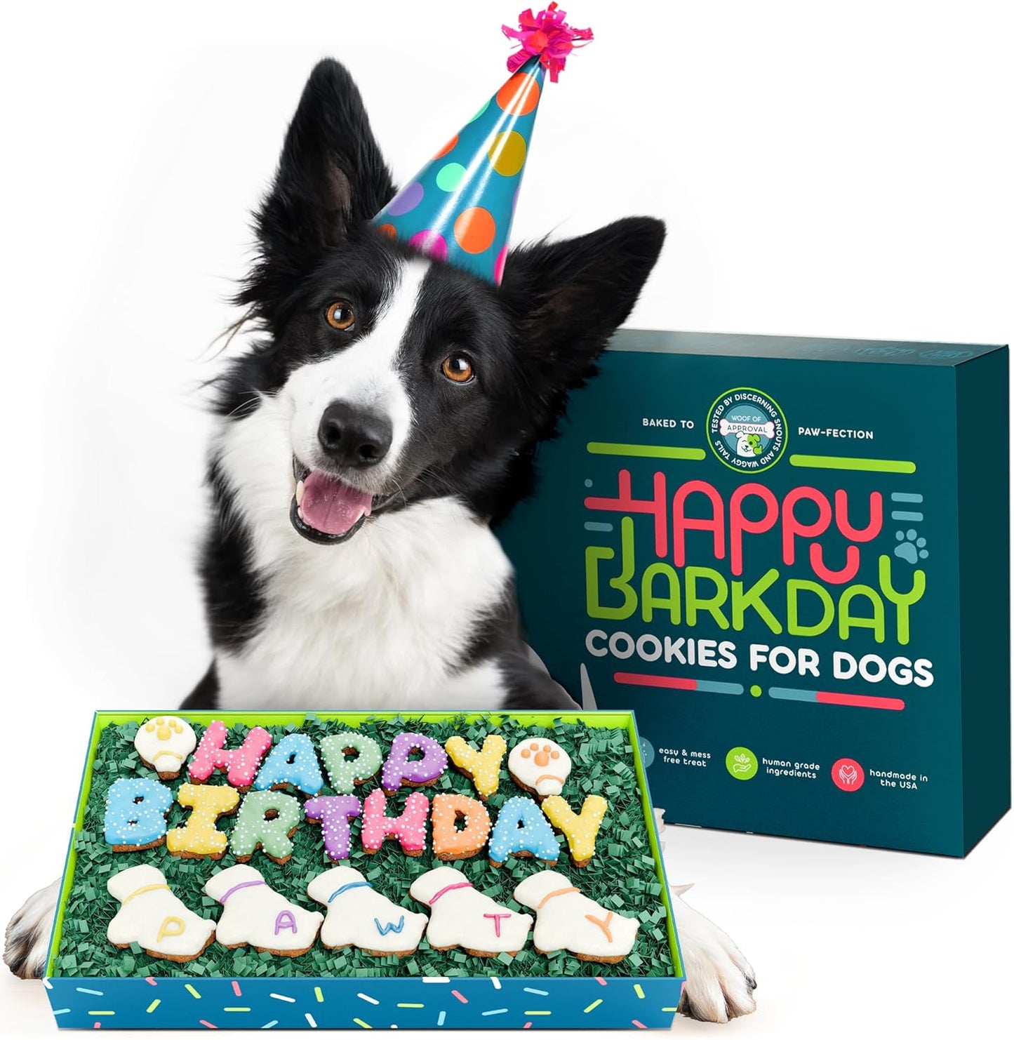 Dog-Birthday-Cookies---Treats-for-Dogs-at-2219