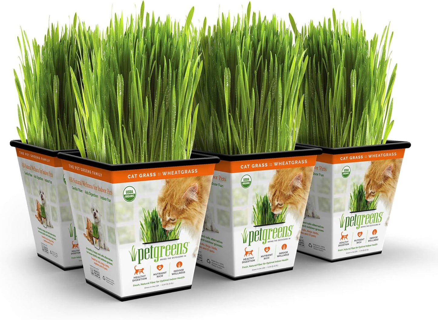 Pet-Greens-Live-Original-Pet-Grass,-15-By-747