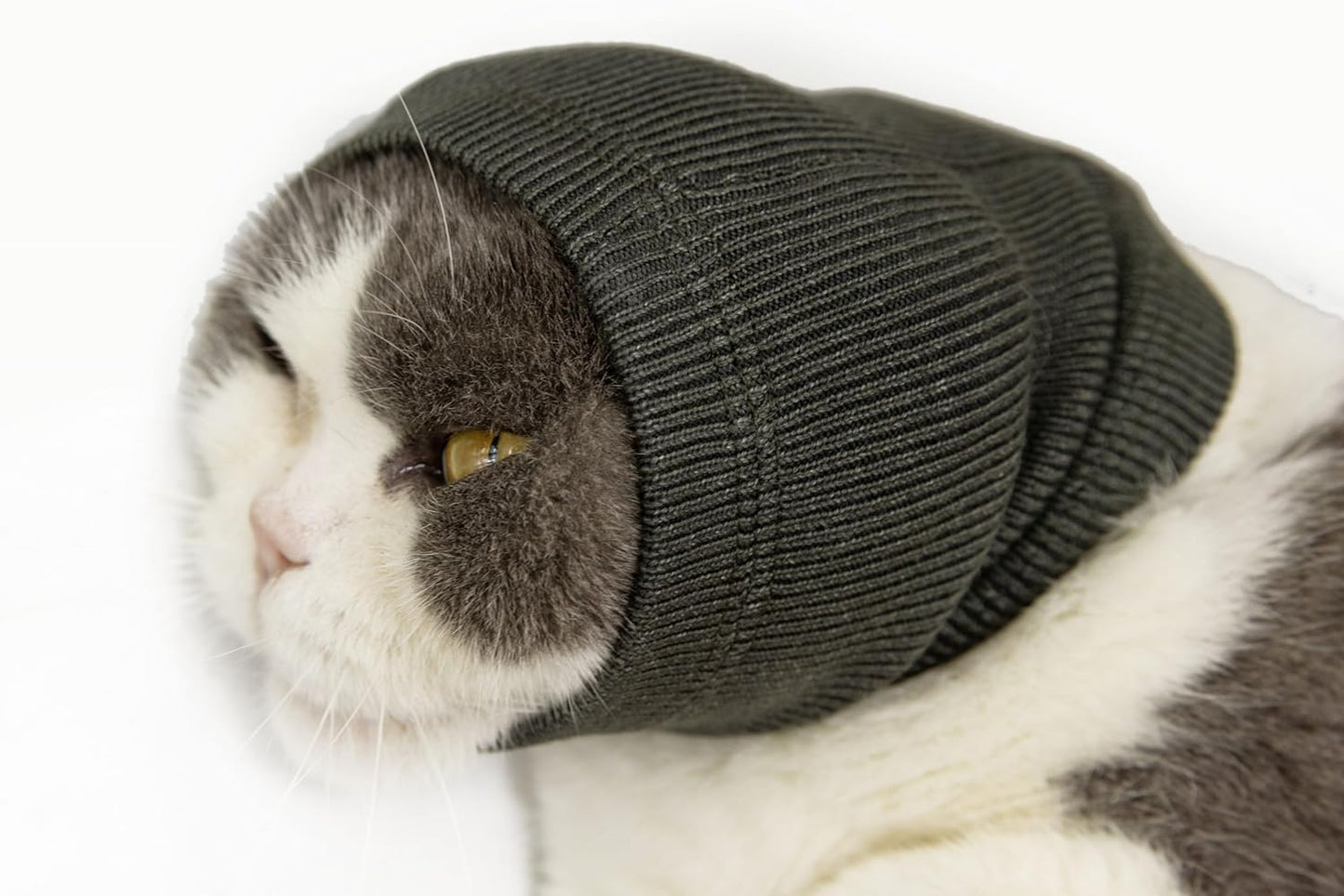 Cat-Hematoma-Ear-Wrap,-Pinpoint-Mesh-Anxiety-Relief,-Cat-Bath-Accessories-for-pet-1143
