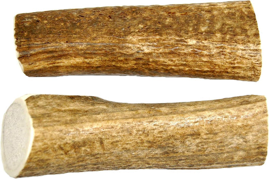 Big-Dog-Antler-Chews---Extra-Large-2-Pack-Elk-Antler-Dog-6-544