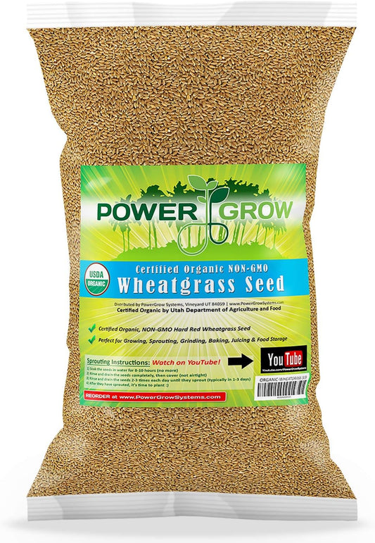 PowerGrow---Semilla-de-pasto-de-trigo-orgánico-orgánico-por-879