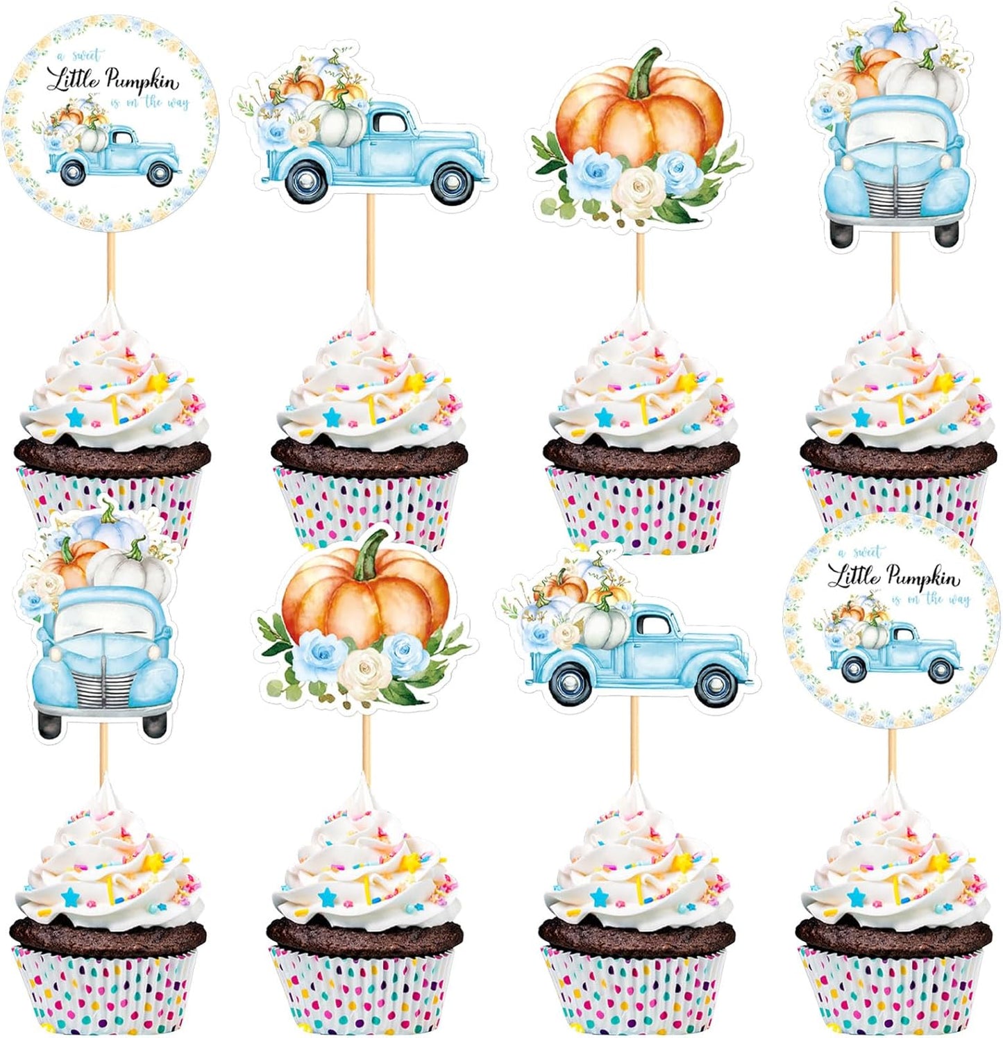 24-Pack-Little-Pumpkin-is-On-the-2719