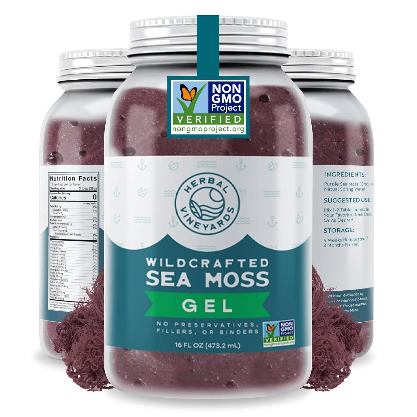 Herbal-Vineyards-Wildcrafted-Irish-Purple-Sea-Moss-Gel-de-16-onzas-–-orgánico-1031