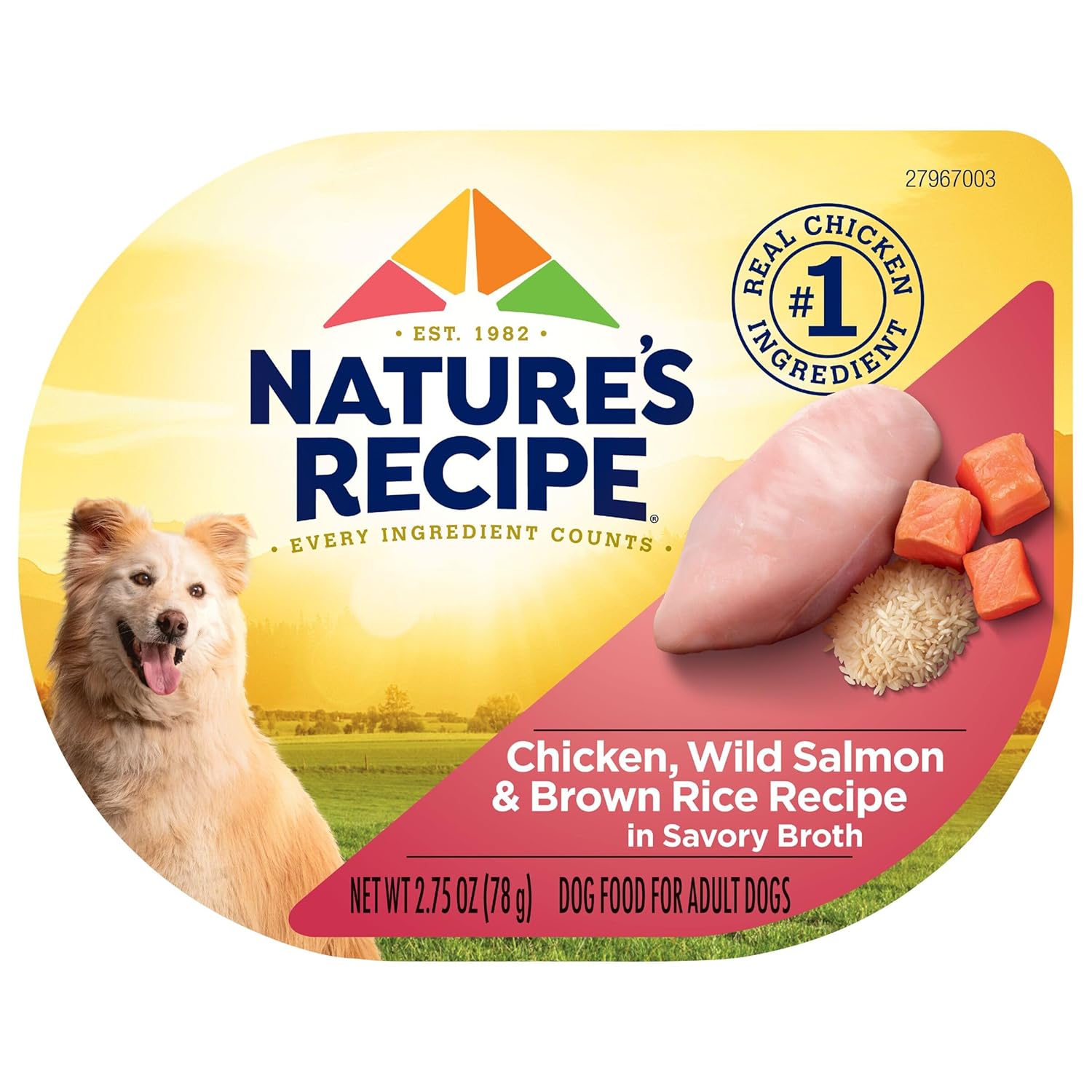 Nature's-Recipe-Wet-Dog-Food,-Chicken-&-Wild-Salmon-in-Broth-Recipe,-2.75-2287
