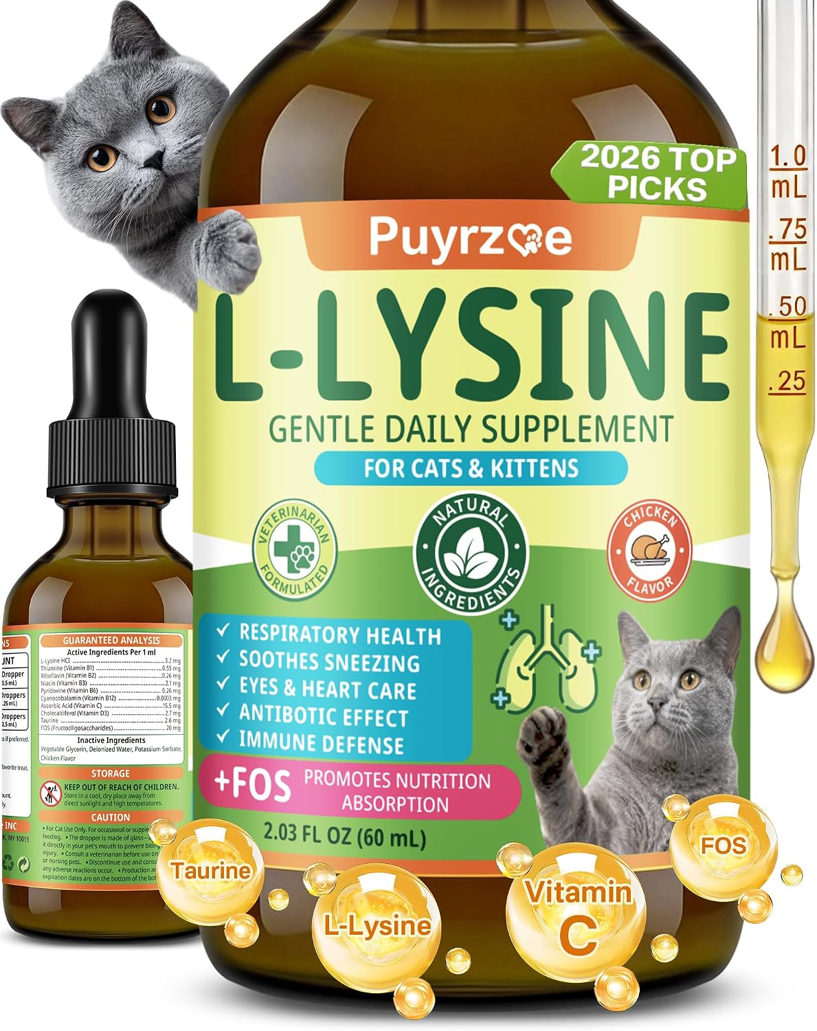 Lysine-for-Cats,-L-Lysine-for-Cats-Drops,-Respiratory-&-Immune-Support-|-Cat-1401