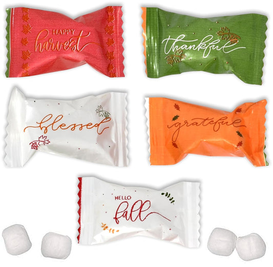 Gift-Boutique-Thanksgiving-Butter-Mint-Candies-Bag-100-2441
