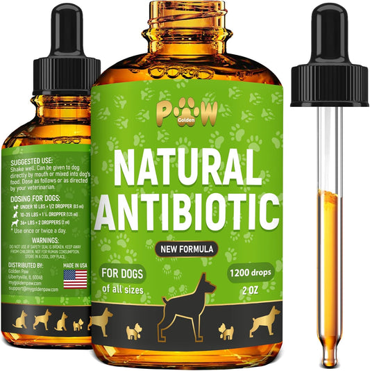 Dog-Antibiotics-for-Infections,-Cough,-&-Teeth-Moments-|-Natural-Antibiotics-Dogs-243
