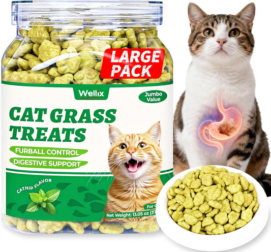 Wellix-Cat-Grass-Treats-with-Catnip-&-Salmon---Healthy-Cat-Treats-for-Indoor-527