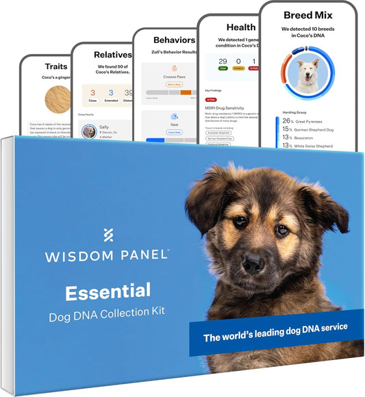 Wisdom-Health-Essential-Dog-DNA-Kit-|-Most-Accurate-Test-|-Breeds-565