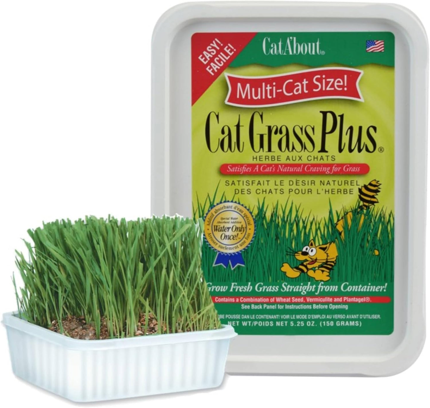 Miracle-Care-Cat-A'bout-Cat-Grass-Kit,-5.25-Ounce-|-Easy-to-Grow-1679