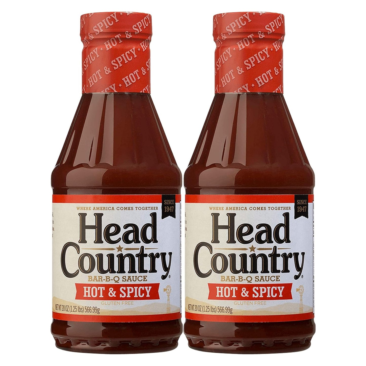 Head-Country-Bar-B-Q-Sauce,-Hot-&-2899
