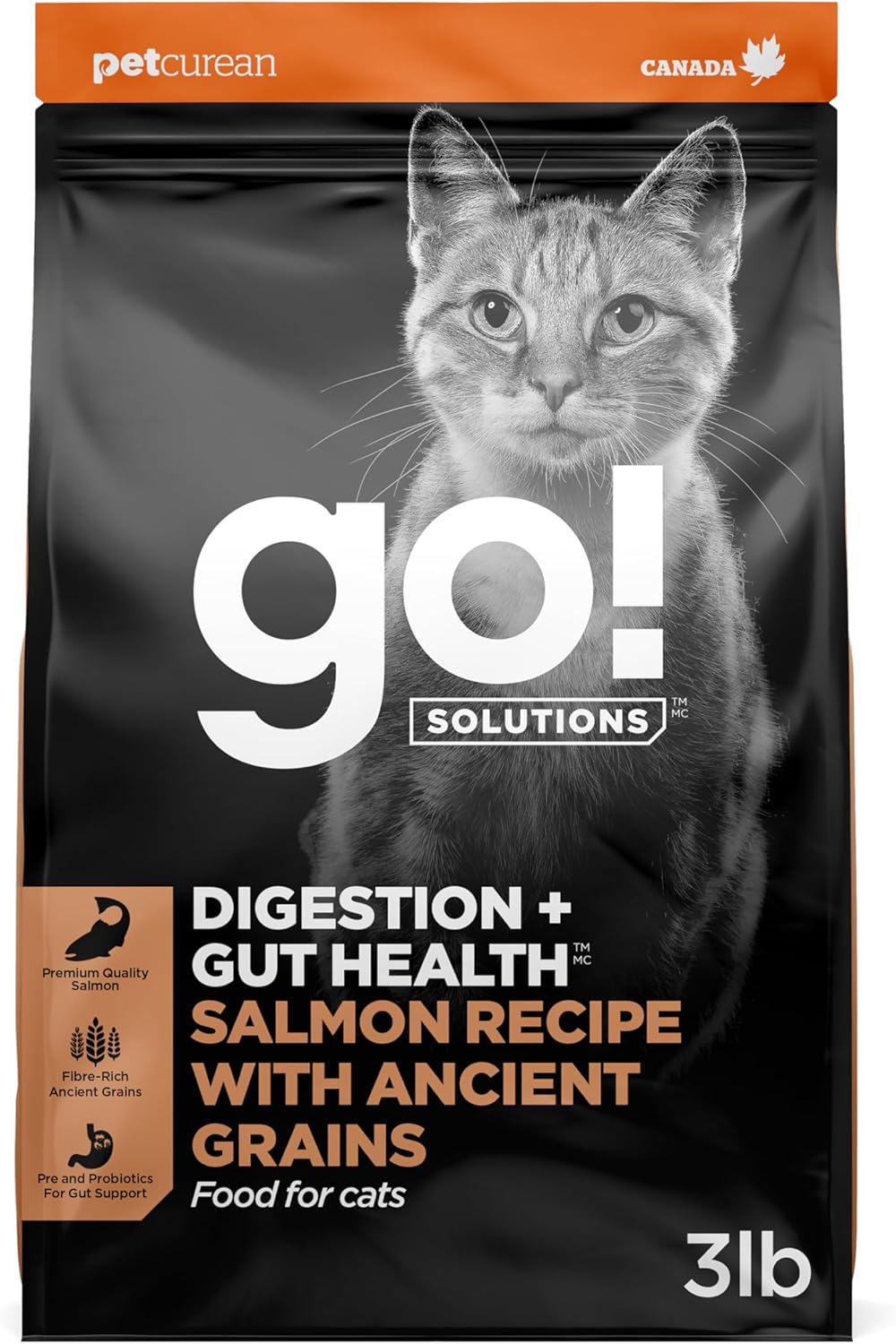 Go!-Solutions-Digestion-+-Gut-Health-Salmon-Dry-Cat-Food,-3-lb--956