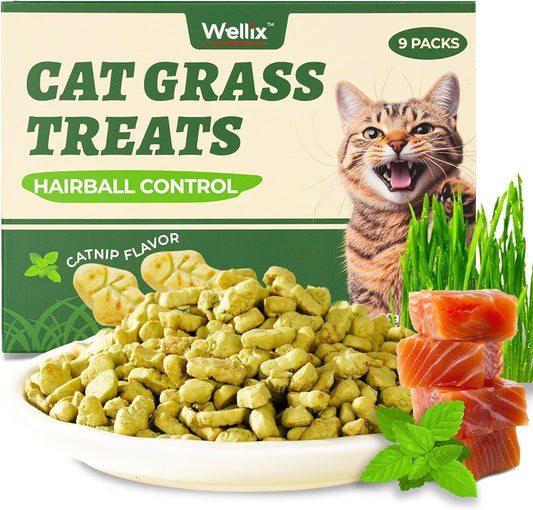 450g/16oz-Cat-Grass-Treats-Healthy-Kitten-Snacks-Natural-Flavor-3