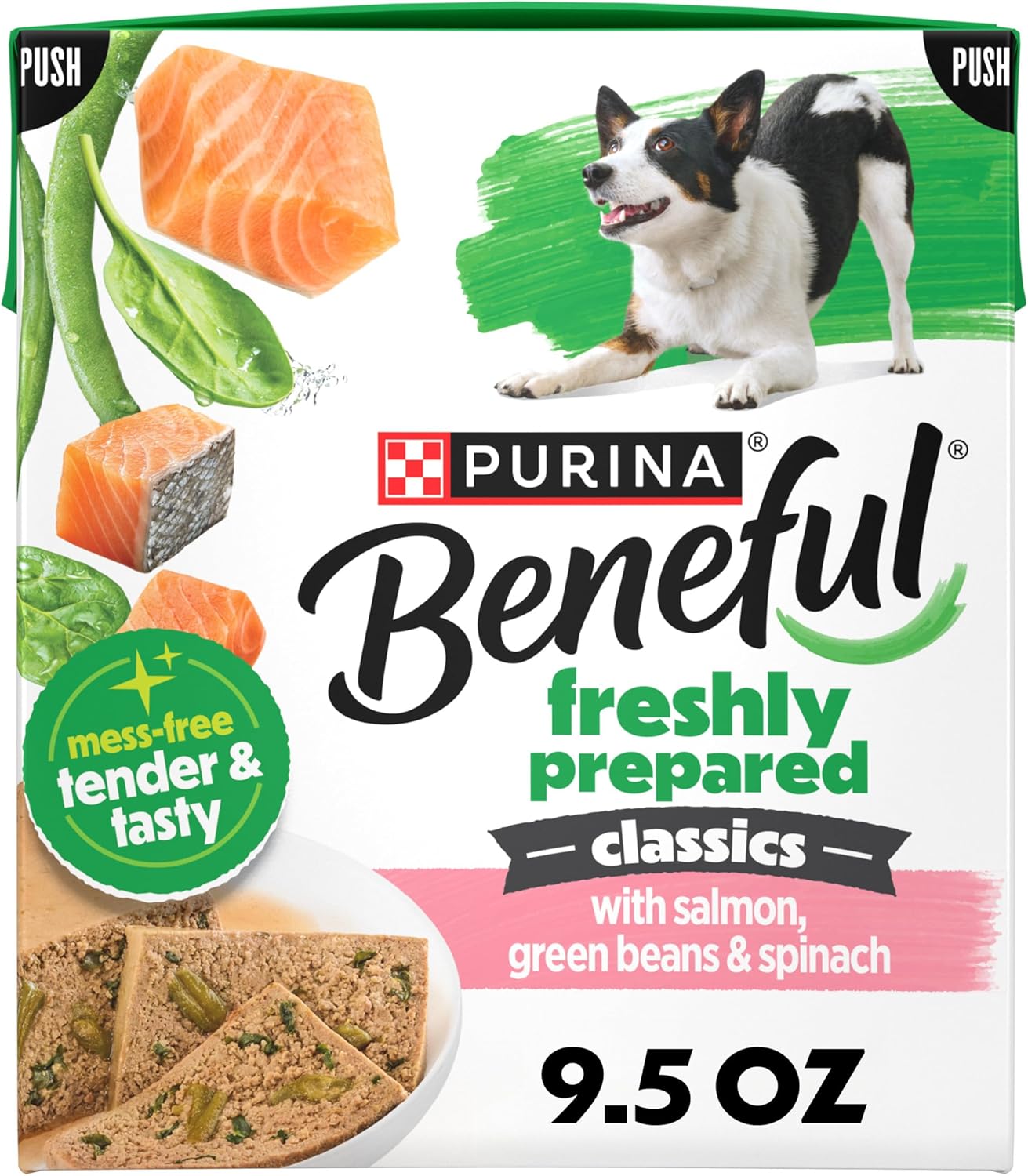 Purina-Beneful-Freshly-Prepared-Classics-with-Salmon,-Green-Beans-and-Spinach-Pate-Dog-930