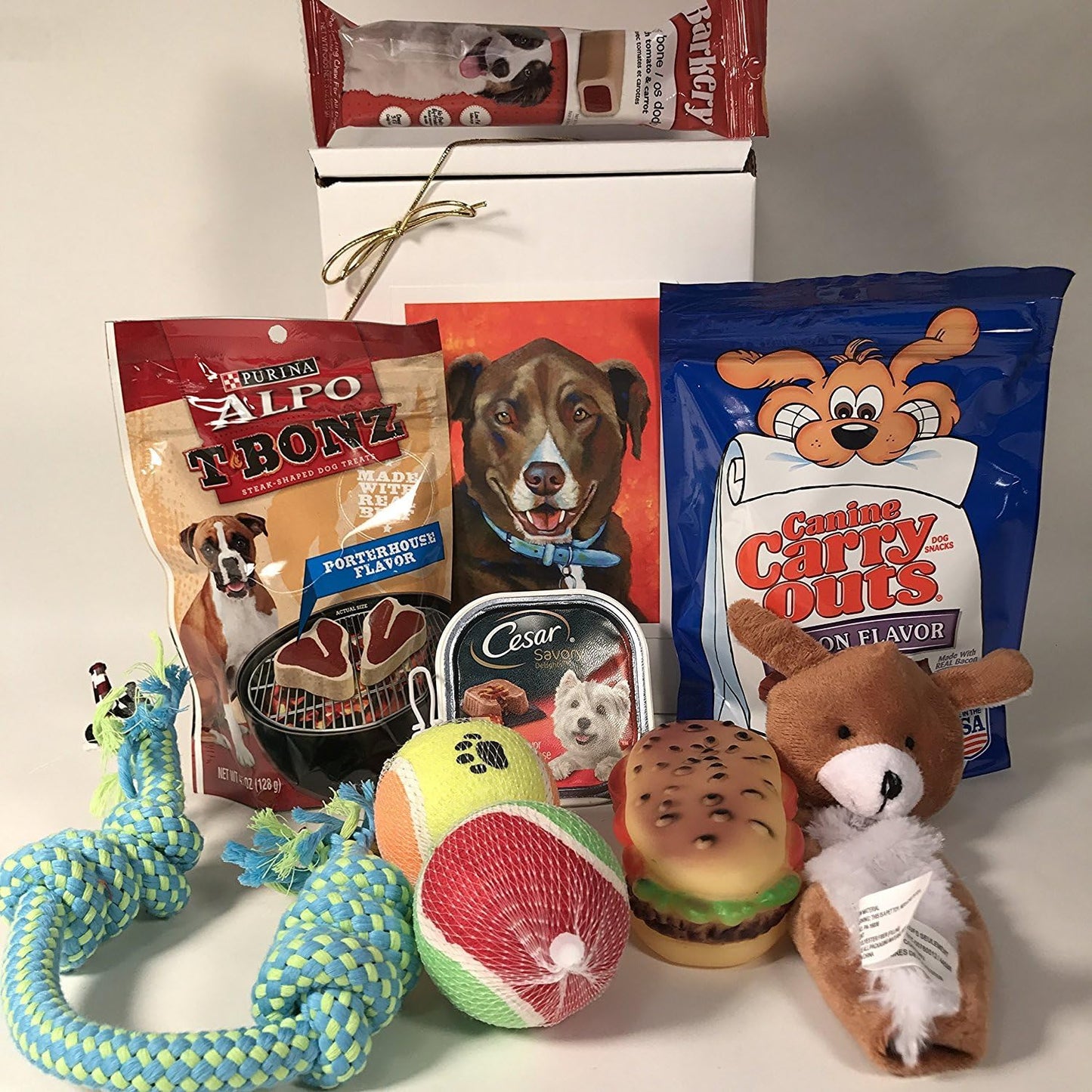 Dog-Gift-Box-Basket-for-A-Favorite-Canine/Fur-843