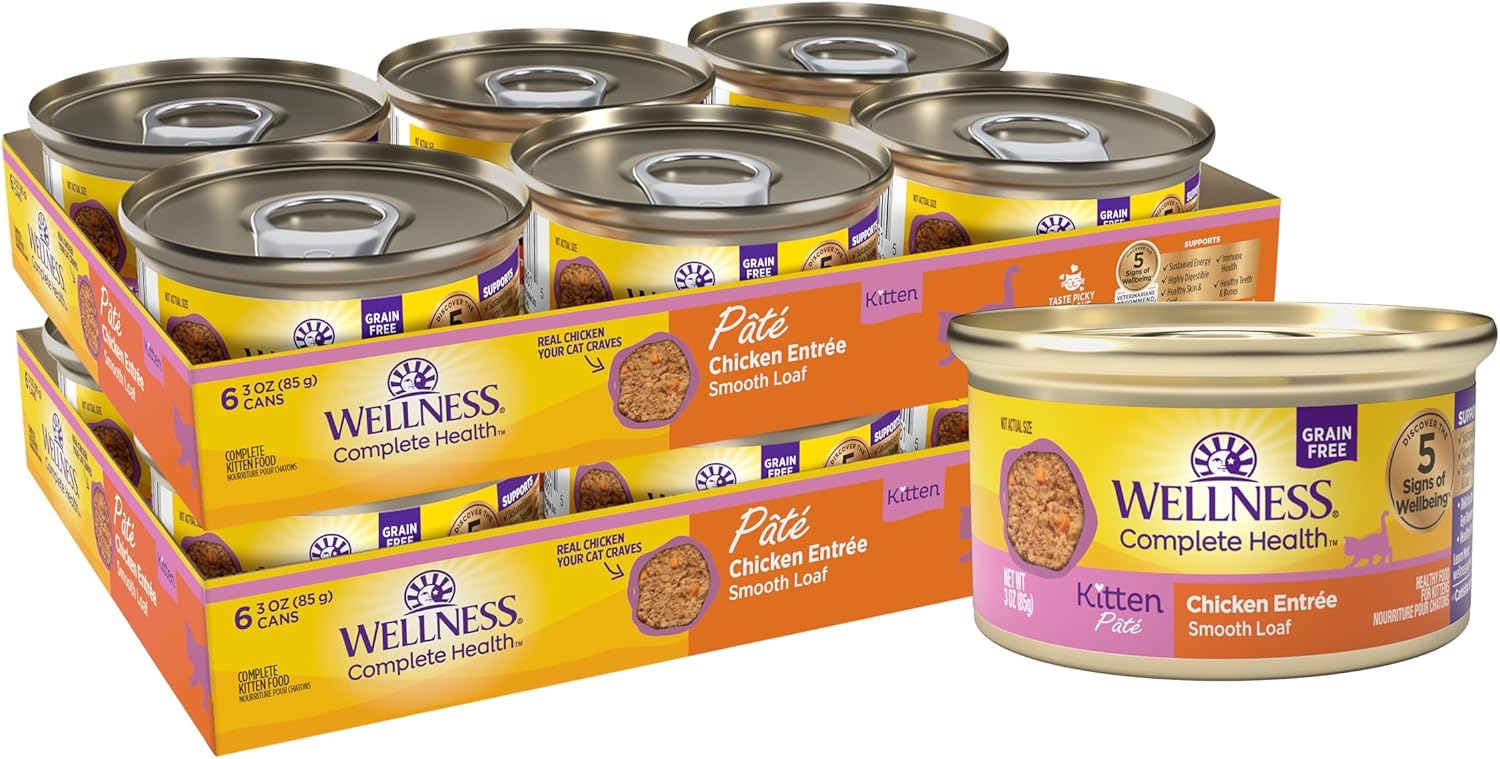Wellness-Complete-Health-Pate-Kitten-Canned-Wet-Cat-Food,-Natural,-Protein-Rich,-Grain-723