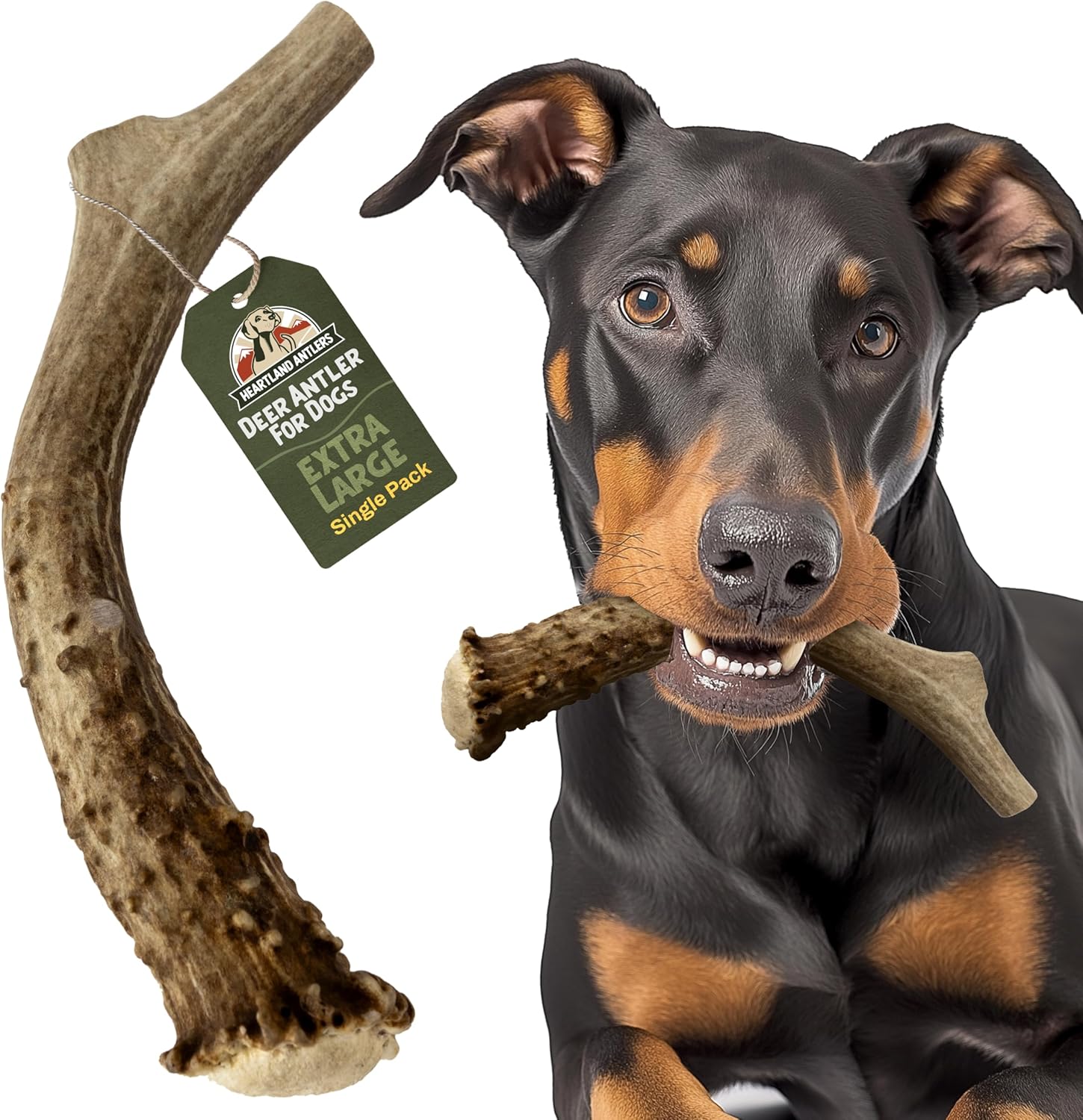 Heartland-Deer-Antlers-for-Dogs-(X-Large,-8–10",-1-Pack)-3119