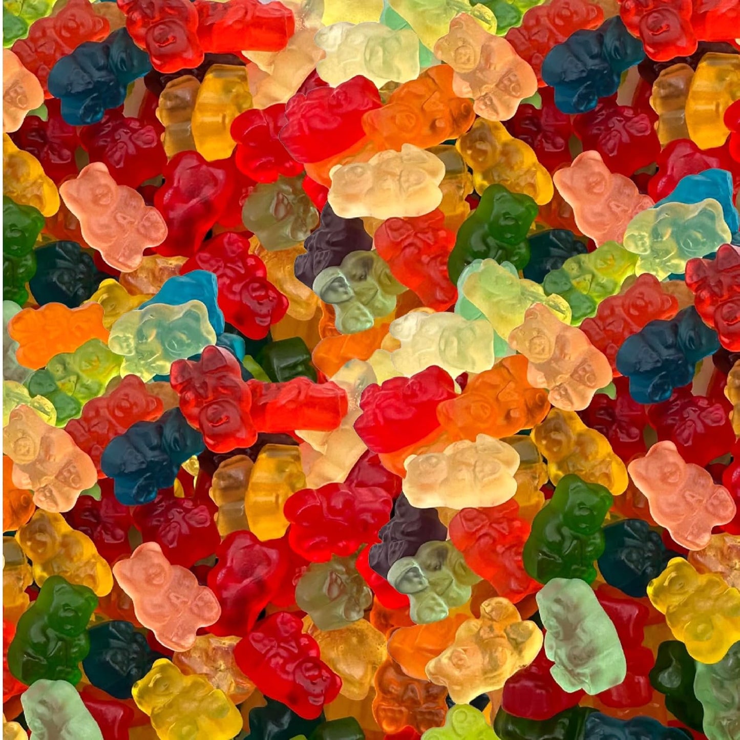 Gummy-Bears-Candy,-Assorted-Fruit-Flavors,-1-Pound-Pack-2536