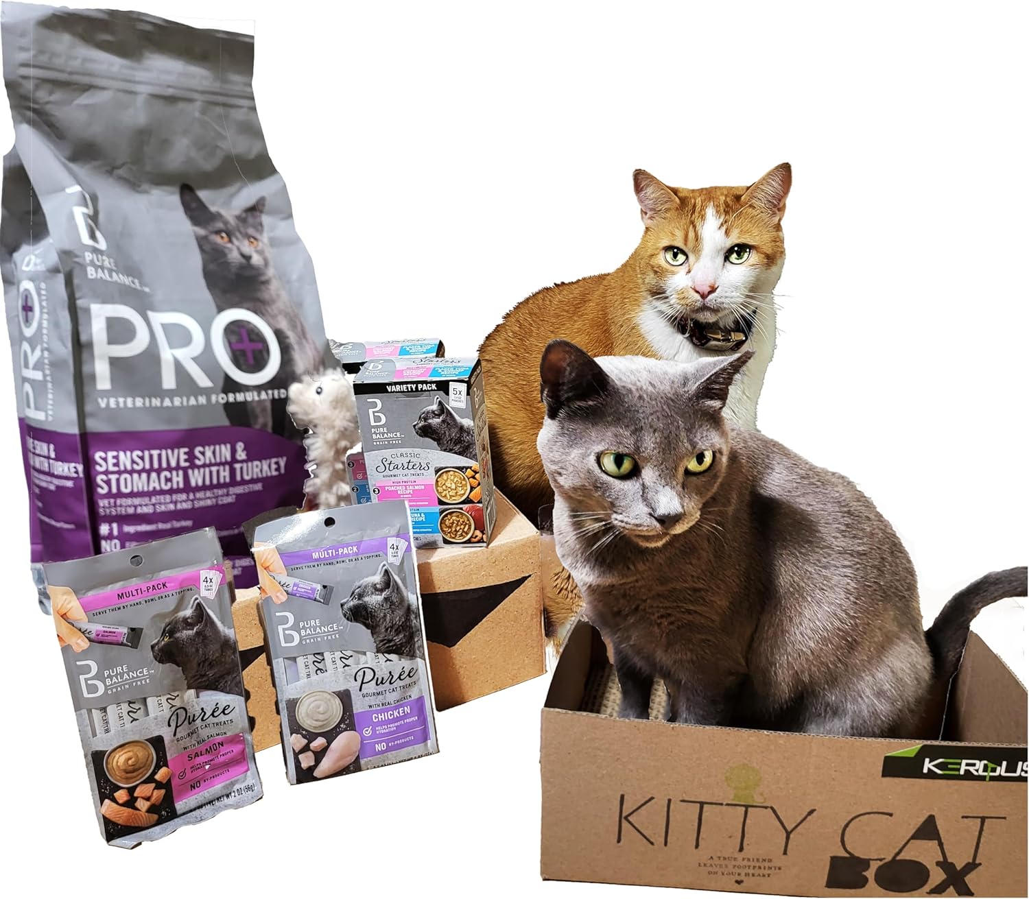 Kitty-Cat-Box.-Pure-Balance-cat-Food-Essentials-304