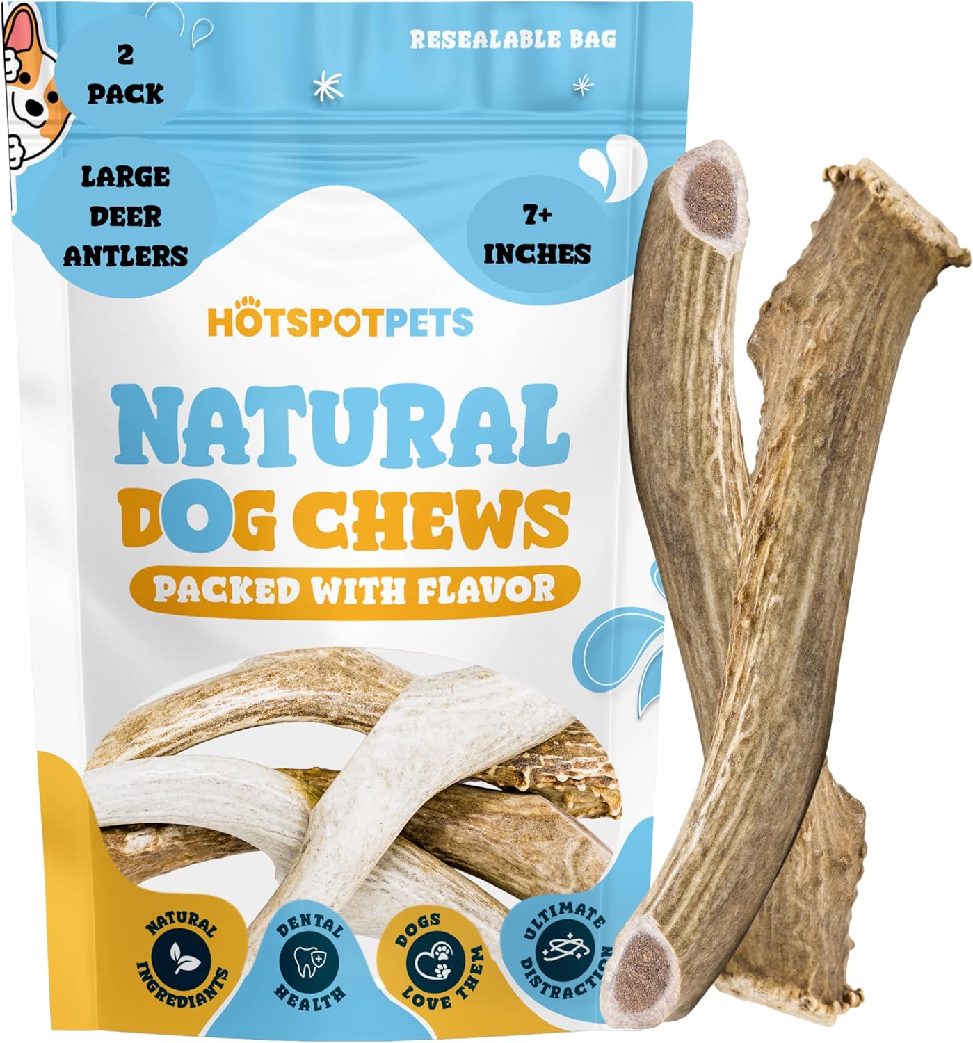Premium-Deer-Antlers-for-Dogs---7+-Inch-3067