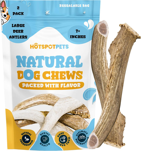 Premium-Deer-Antlers-for-Dogs---7+-Inch-3067