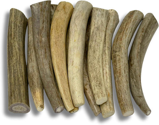 Deer-Antlers-for-Extra-Small-Dogs-(12-Pack)-210