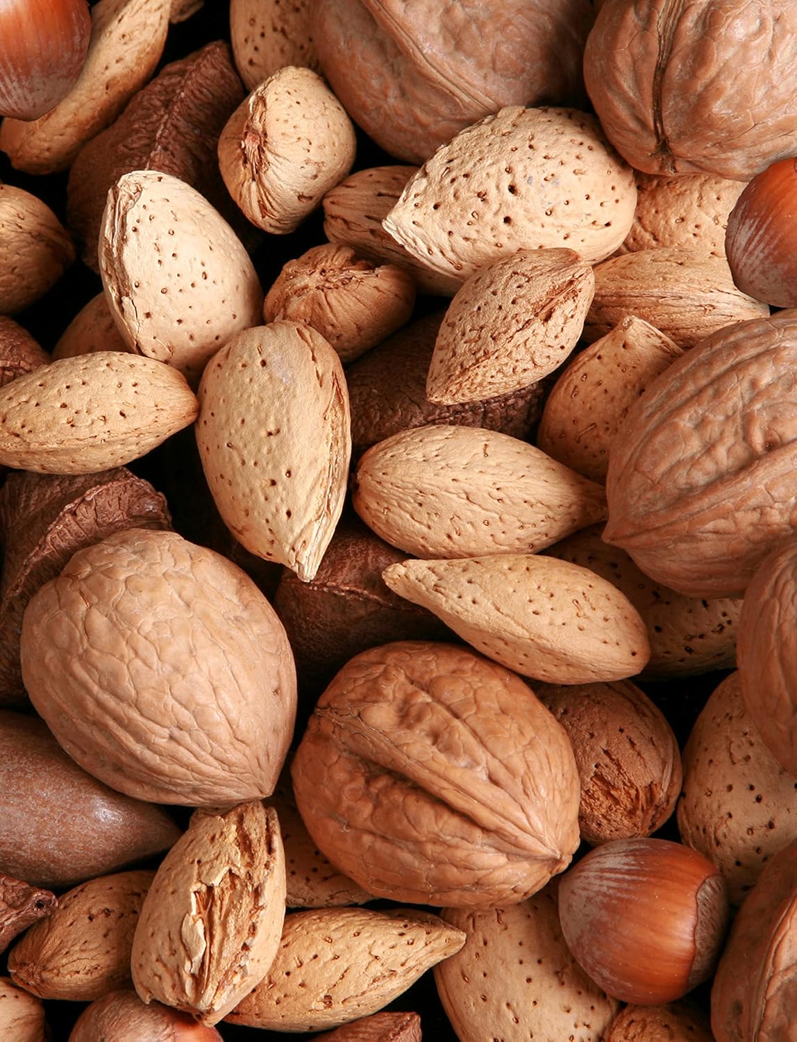 Anna-and-Sarah-Premium-Mixed-Nuts-in-Shell,-2857