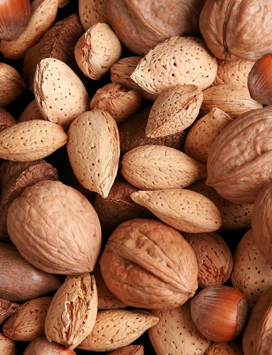 Anna-and-Sarah-Premium-Mixed-Nuts-in-Shell,-2857