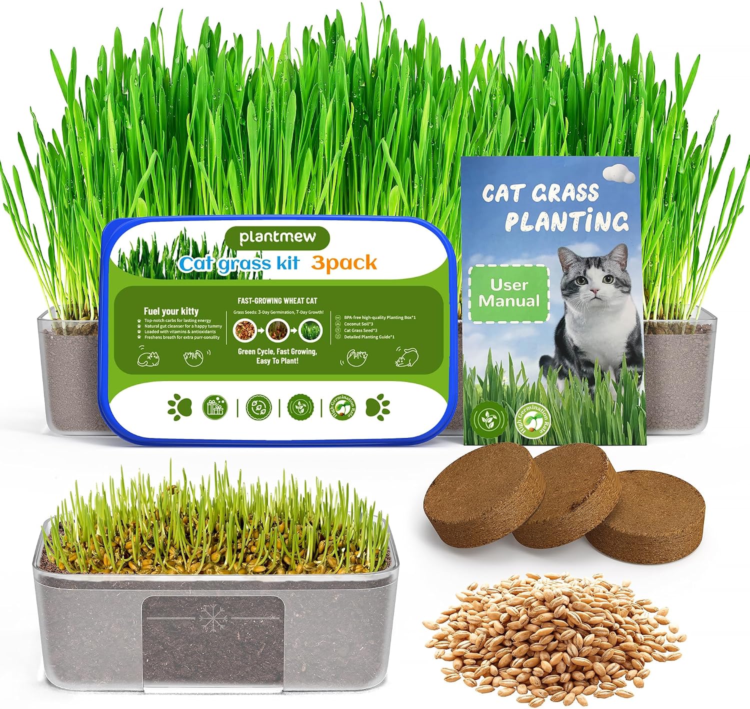 Cat-Grass-Growing-Kit-for-Indoor-Cats-–-Fast-Growing-(3-7-Days-Harvest),-1131