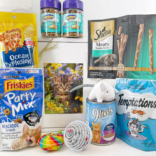 Cat-Gift-Box-Basket-for-a-Favorite-Cat-Kitty-3