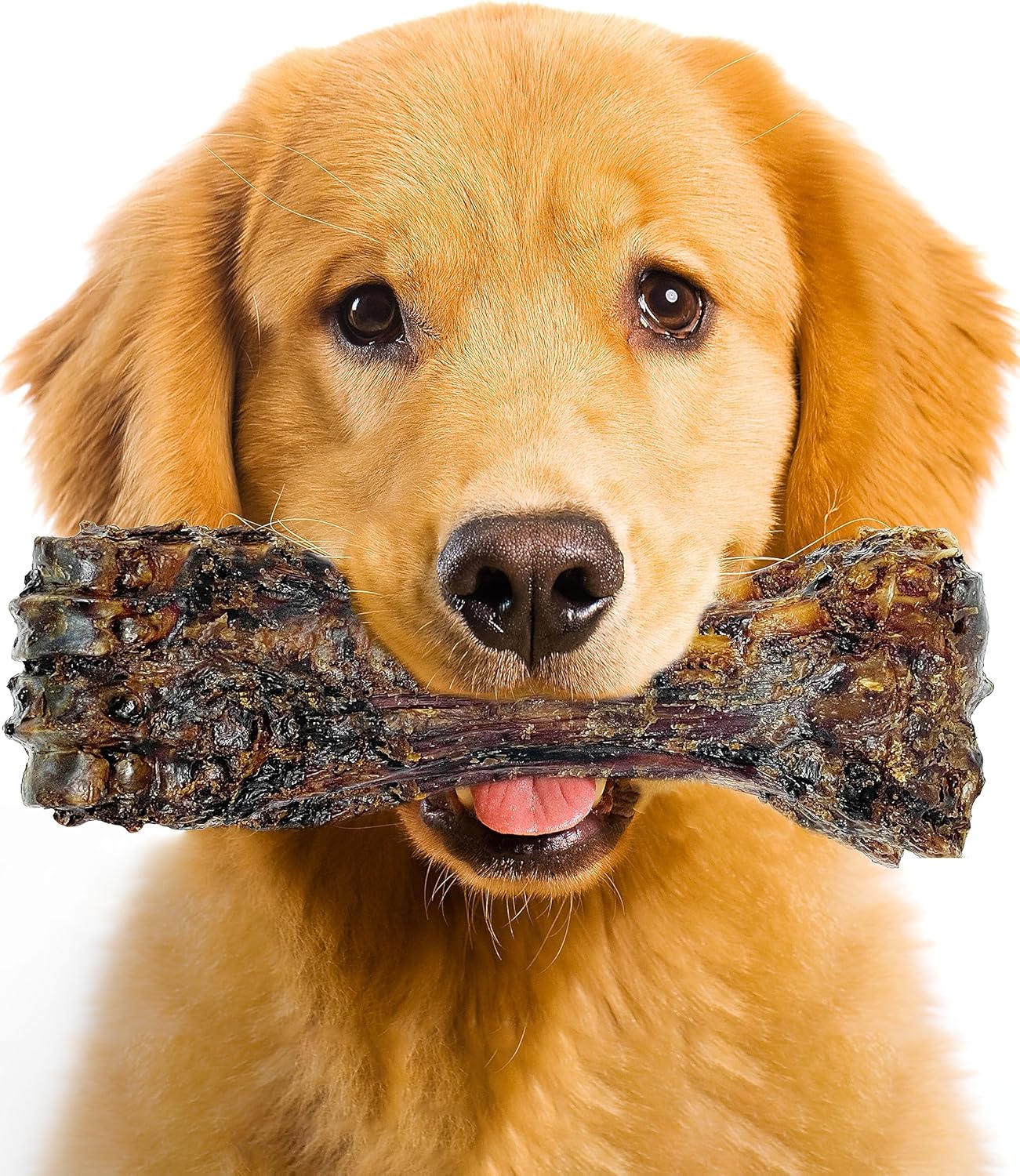 Large-Dog-Bones-Long-Lasting,-Liver-Coated-Dog-3622