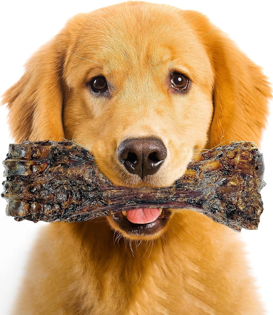 Large-Dog-Bones-Long-Lasting,-Liver-Coated-Dog-3622