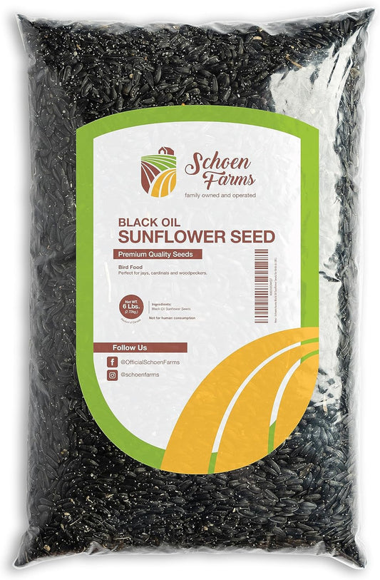 Schoen-Farms-Black-Oil-Sunflower-Seeds-for-Birds-445
