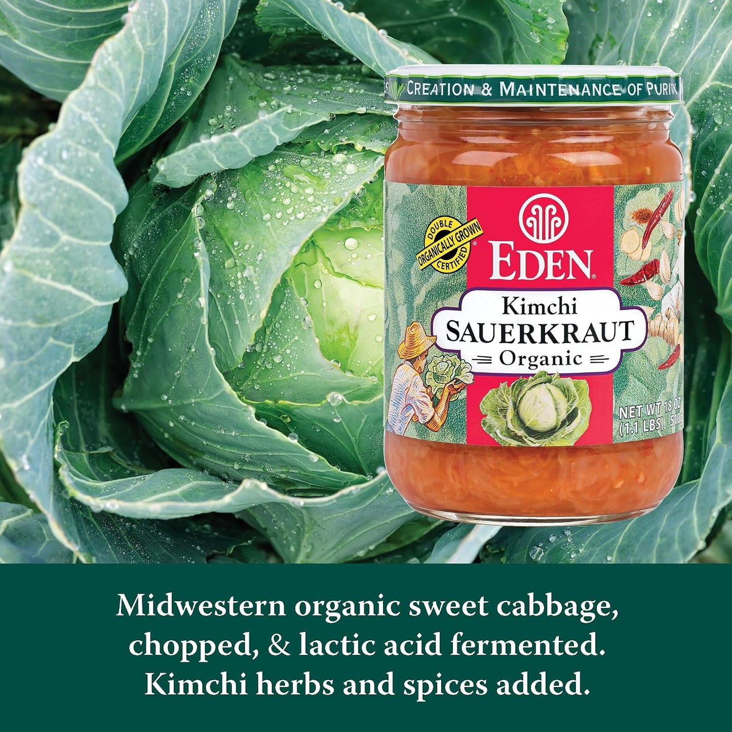 Eden-Organic-Sauerkraut,-18-oz-Glass-Jar,-Kimchi,-Fine-Cut-----931