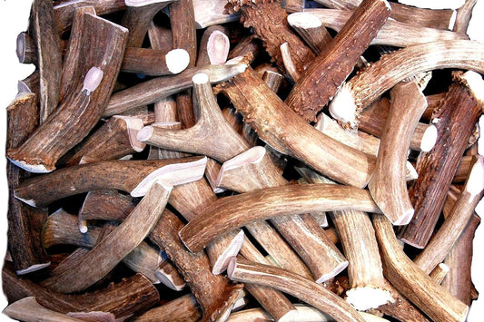 Premium-Deer-Antler-Pieces---Dog-Chews---3746